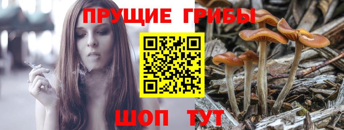 Псилоцибиновые грибы Magic Shrooms  Вход с VPN  Псилоцибиновые грибы Cubensis  цена   Жигулёвск 